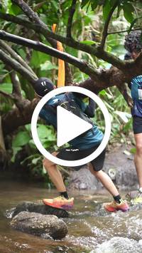 BIB:  <button type="button" onclick="openModal(27825020)" class="btn btn-primary btn-sm float-right" data-toggle="modal" data-target=".modal-high-quality">
                <i class="fa fa-download"></i> Download
                </button>